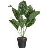 Best Sale Kunstplant Caladium Groen Kunstplanten & Kunstbloemen