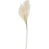 Online Kunsttak Pluim Lichtbruin Kunstplanten & Kunstbloemen