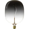 Best Led Globe 18X27Cm Grijs Lichtbronnen