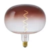 Best Led Lamp 22X22,5 Cm Bruin E27 Dimbaar Lichtbronnen