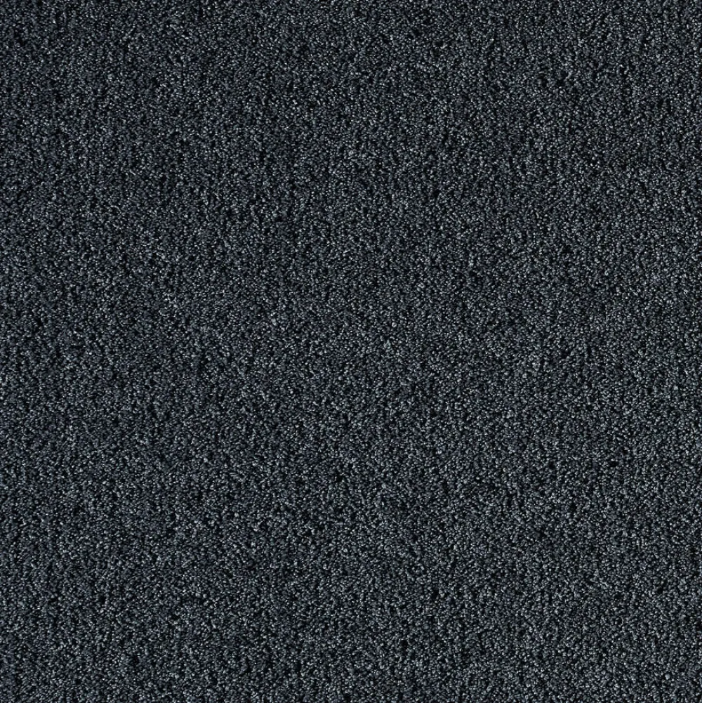 Shop Vloerkleed Parlin Antraciet Vloerkleden